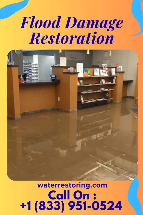 Flood Damage Restoration in Tonka Bay, MN